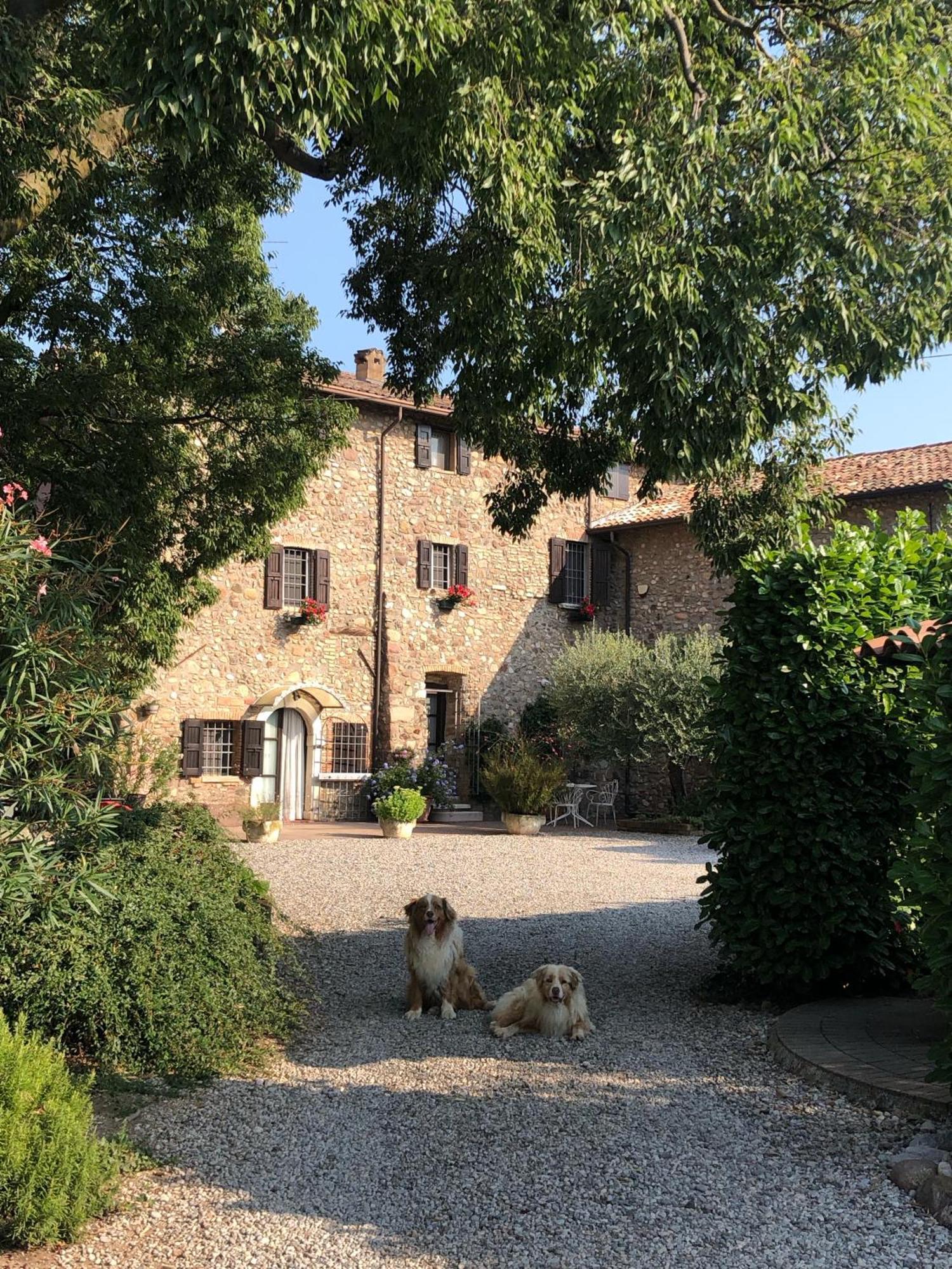 B&B Cascina Mattarelle Monzambano Exterior foto